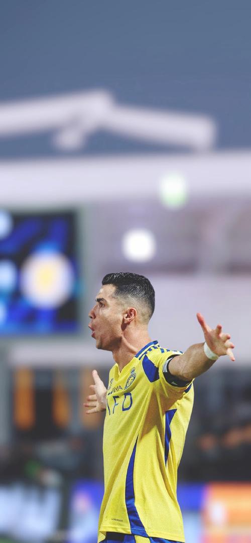 图片报：拜仁外租门将佩雷茨已罢训，希望迫使汉堡妥协